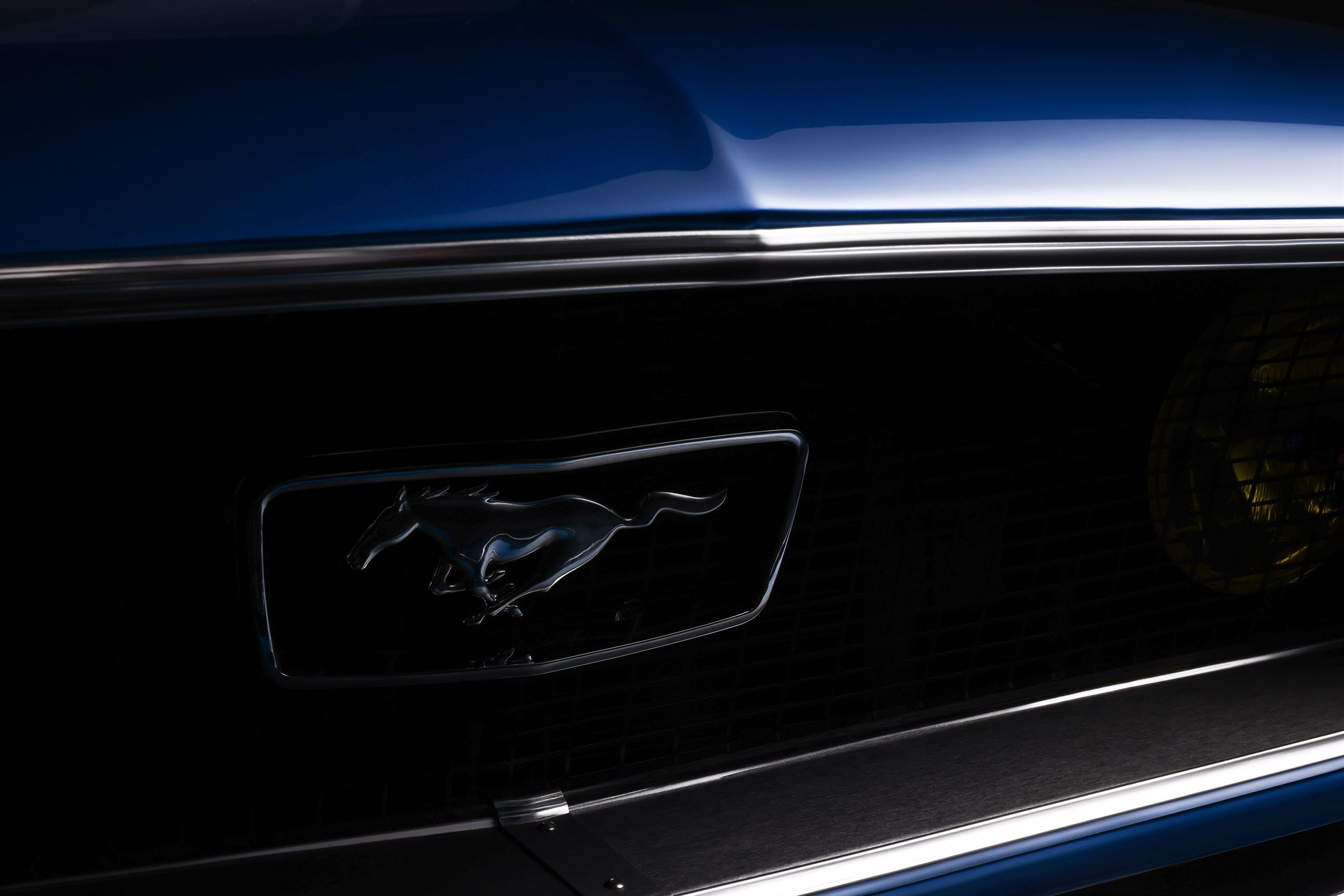Ford Mustang - automotive
